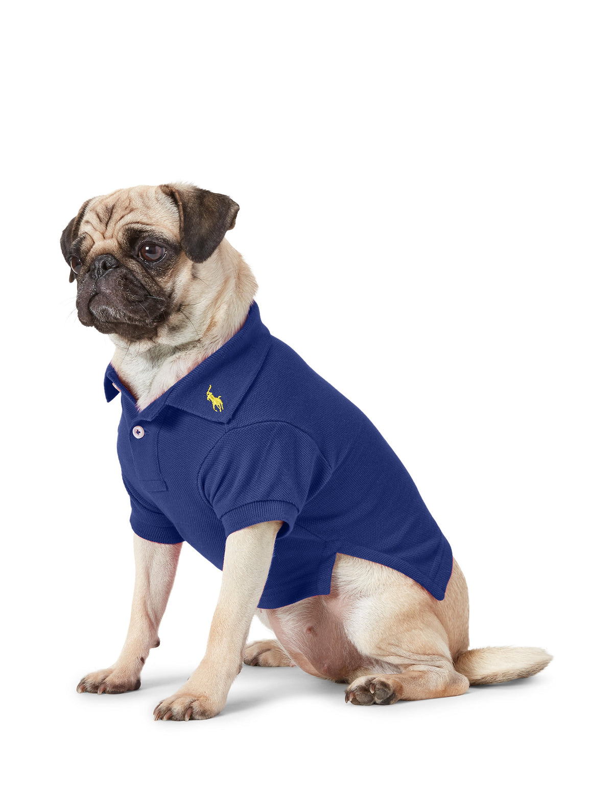 Polo Ralph Lauren Cotton-Mesh Dog Polo Shirt