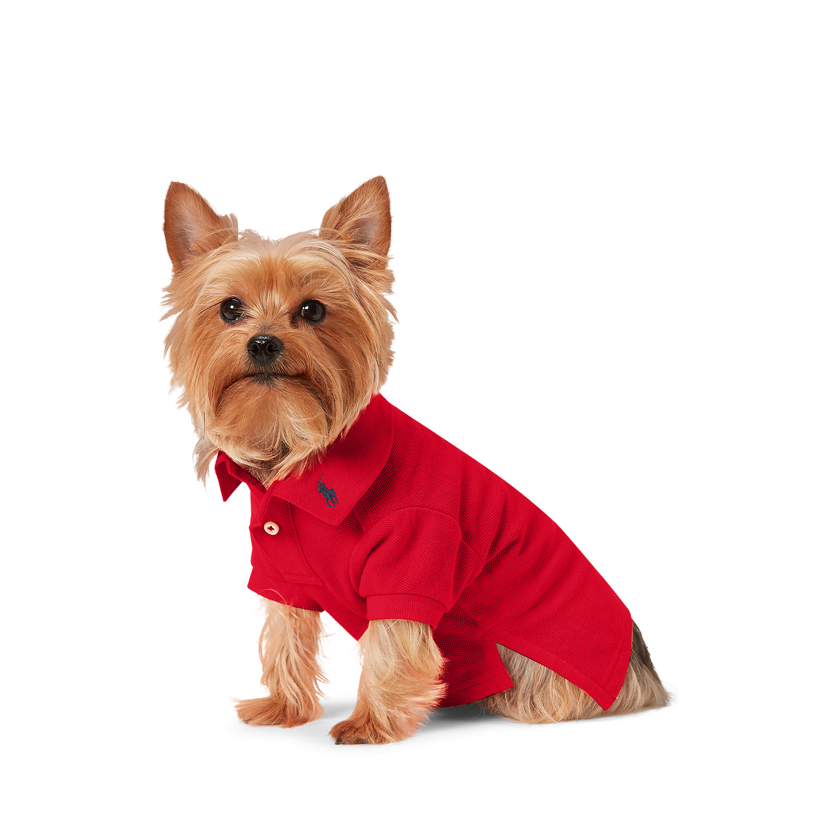 Polo Ralph Lauren Cotton-Mesh Dog Polo Shirt