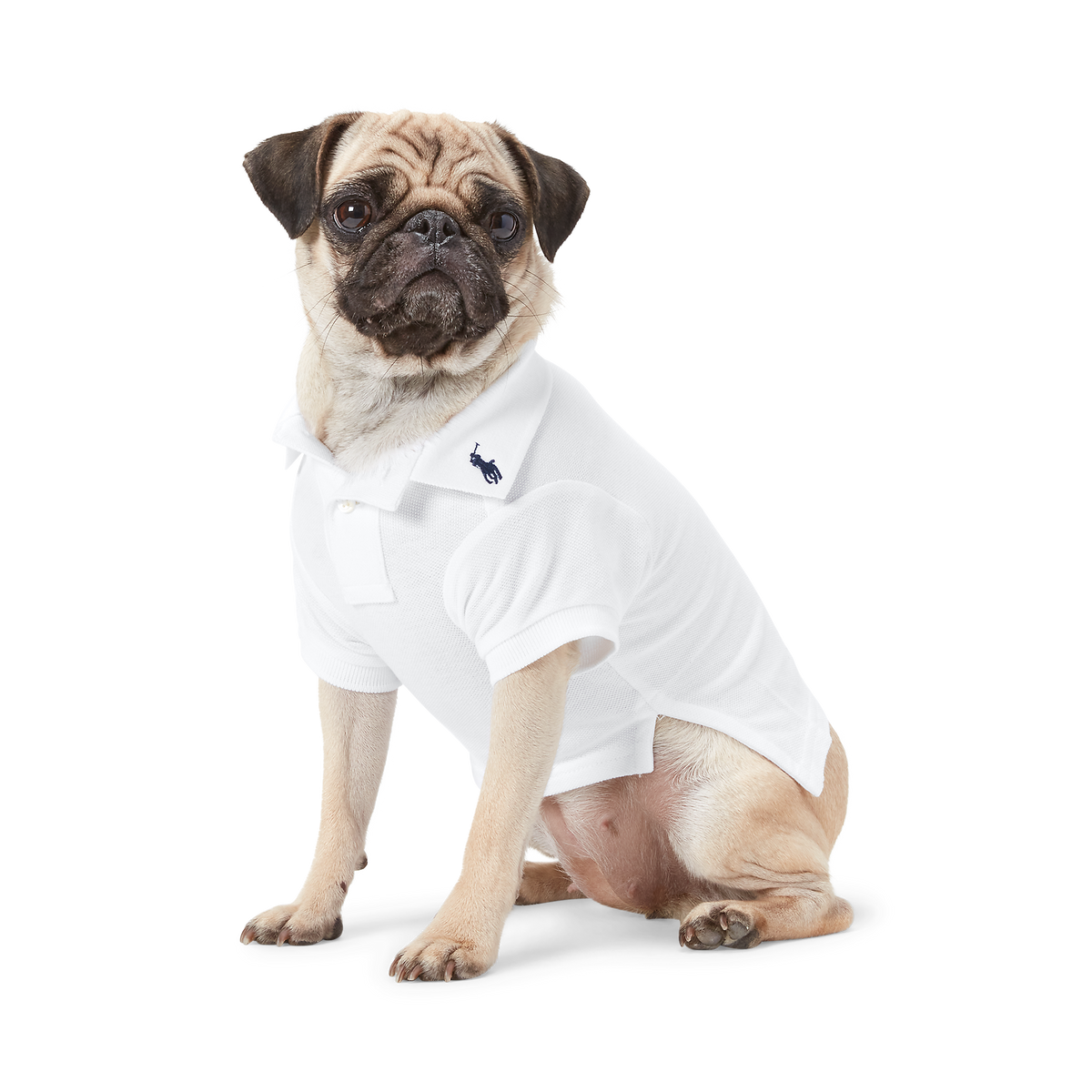 Polo Ralph Lauren Cotton-Mesh Dog Polo Shirt