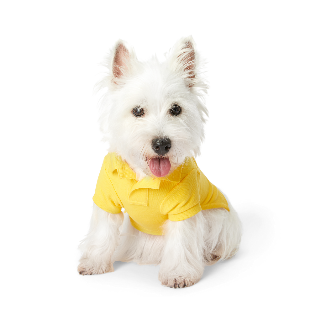 Polo Ralph Lauren Dogs-Polo Bear Shirt