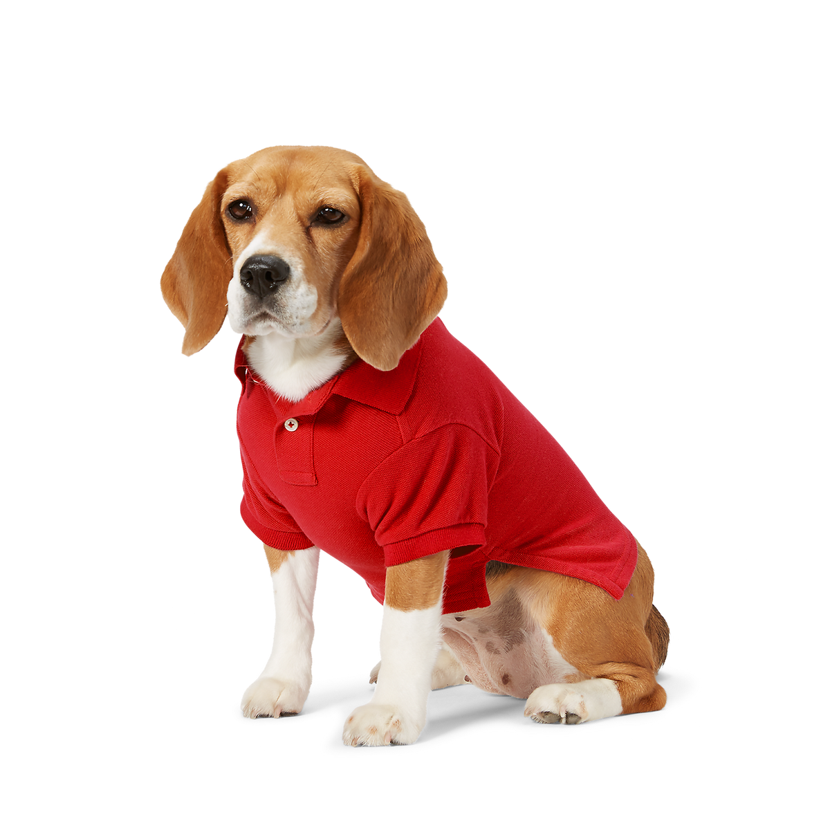 Polo Ralph Lauren Big-Pony Mesh Dog Polo Shirt