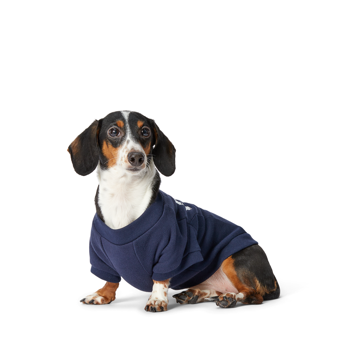 Polo Ralph Lauren Fleece Dog Sweatshirt