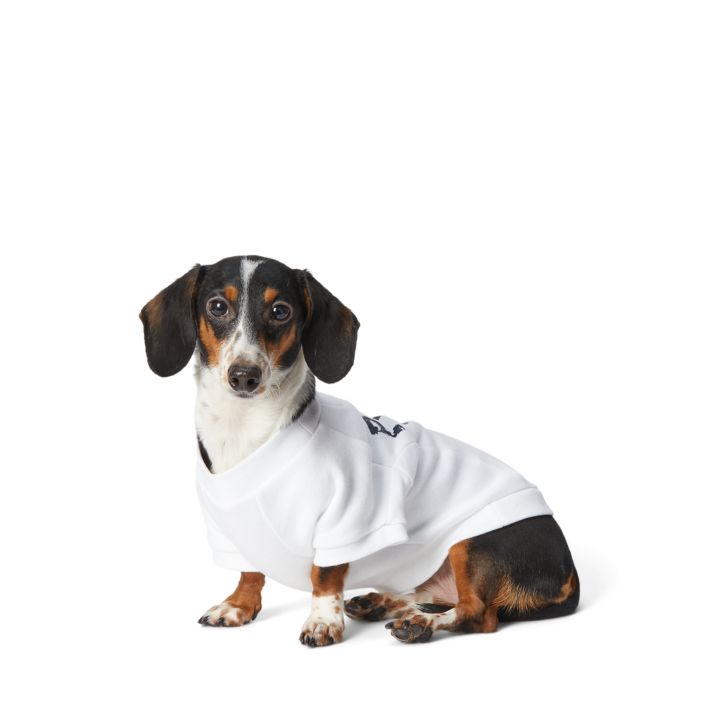 Polo Ralph Lauren Fleece Dog Sweatshirt