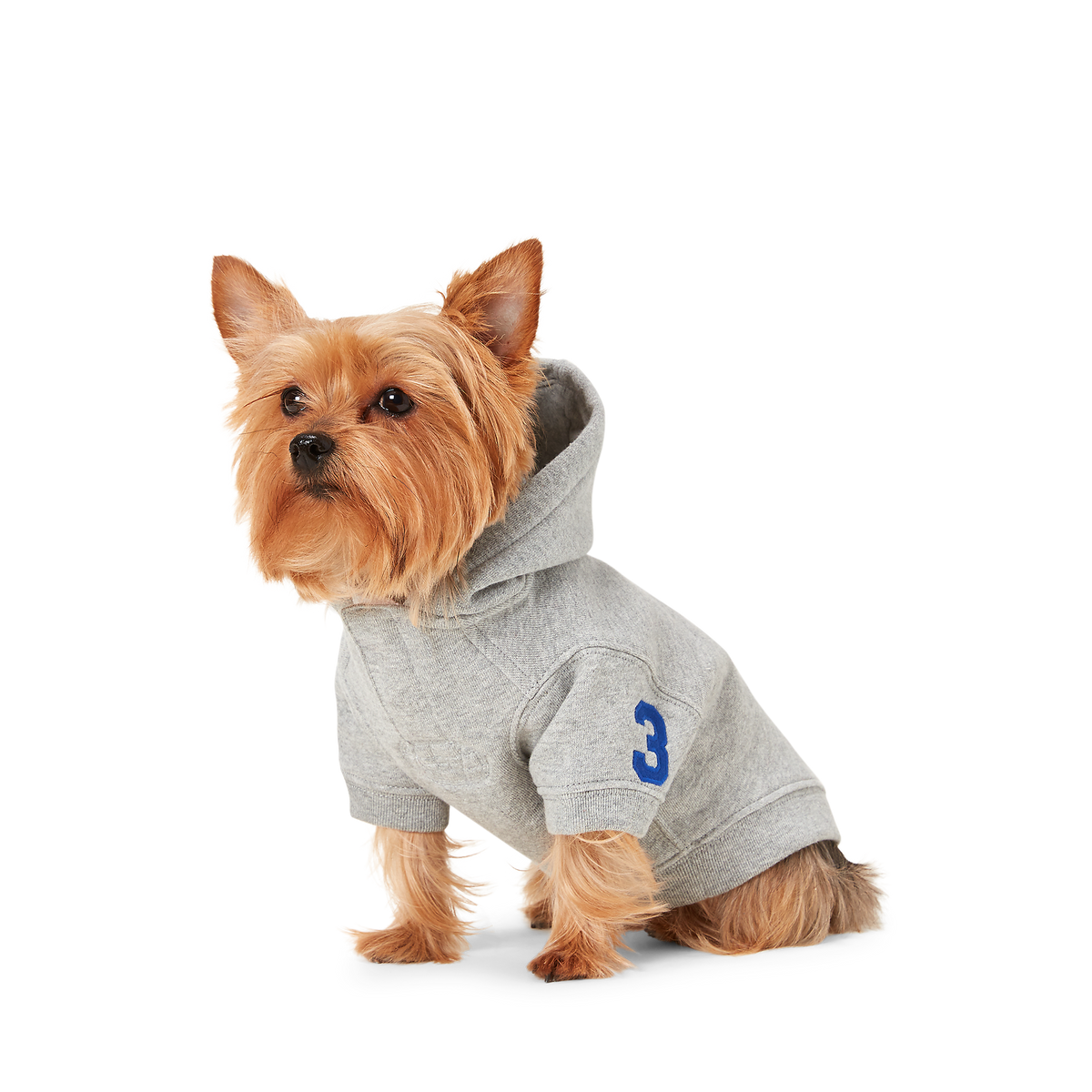 Polo Ralph Lauren Big-Pony Fleece Dog Hoodie