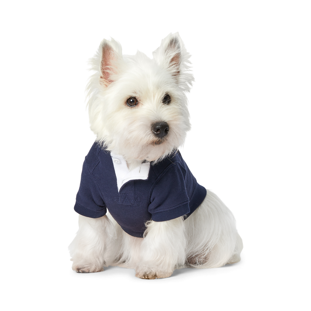 Polo Ralph Lauren Bear-Fleece Dog Hoodie