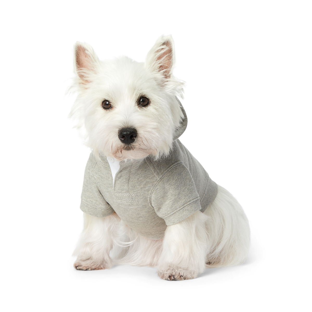 Polo Ralph Lauren Bear-Fleece Dog Hoodie