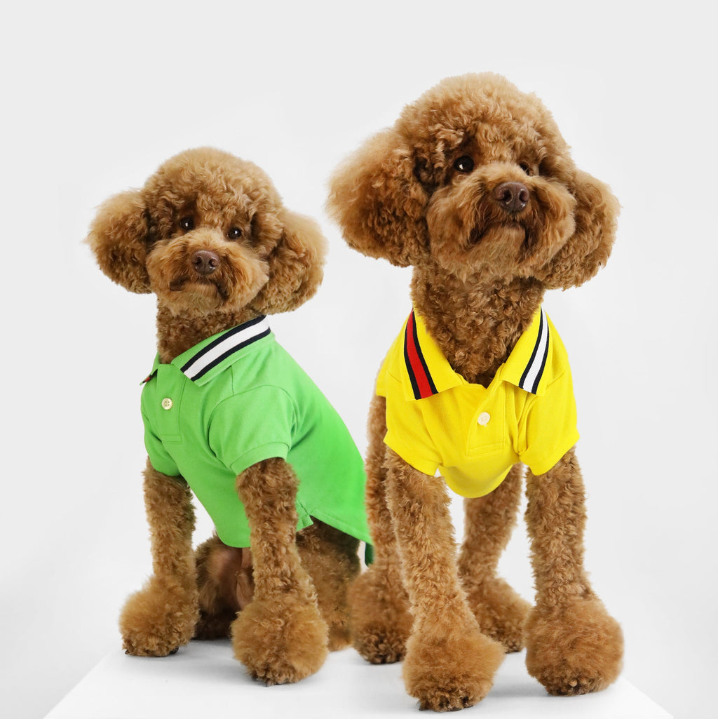 Tommy Hilfiger Flag Collar & Cuffs Dog Polo | Designer Dog Polo