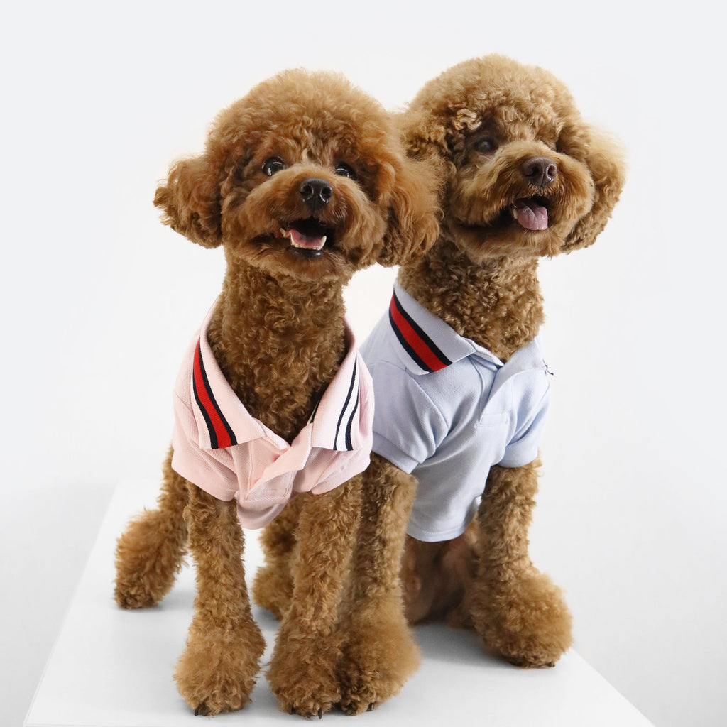 Tommy Hilfiger Flag Collar & Cuffs Dog Polo | Designer Dog Polo