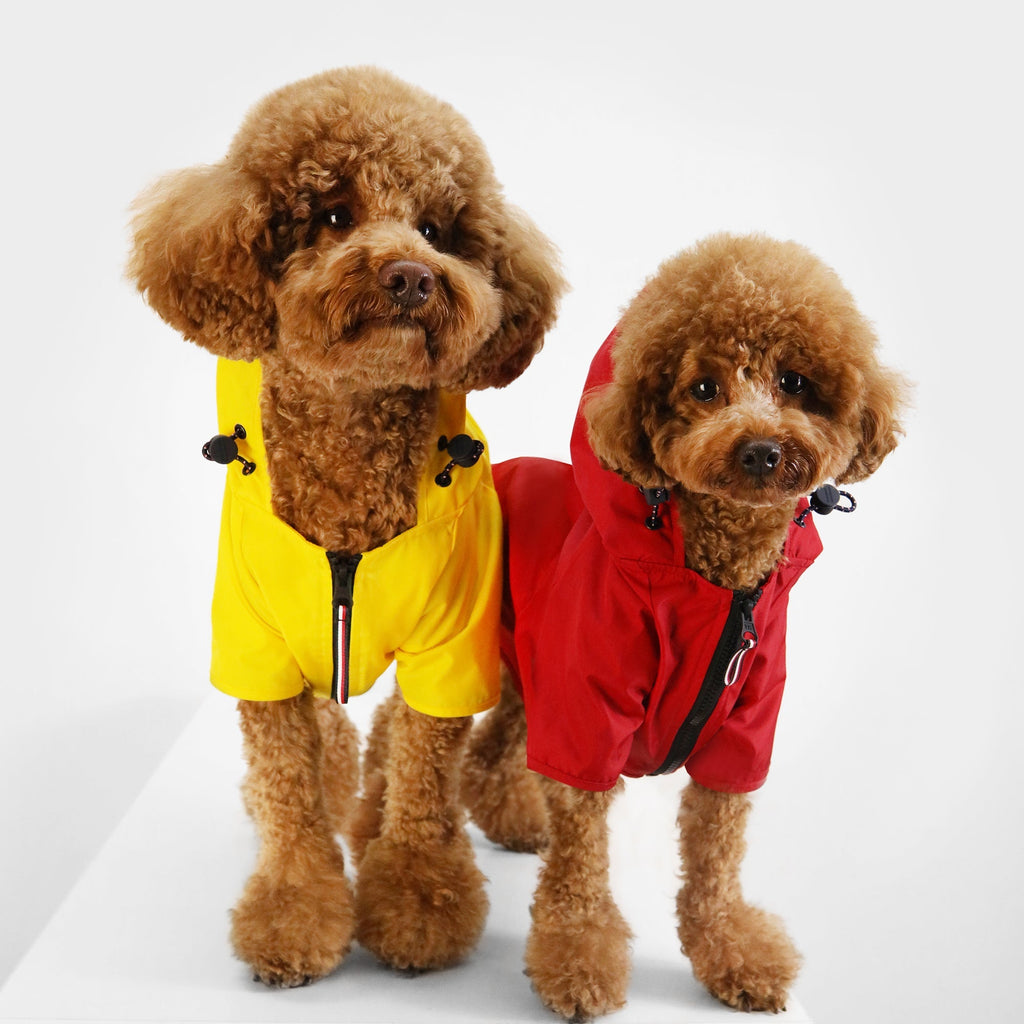 Tommy Hilfiger Dog Rain Coat | Waterproof Designer Dog Jacket