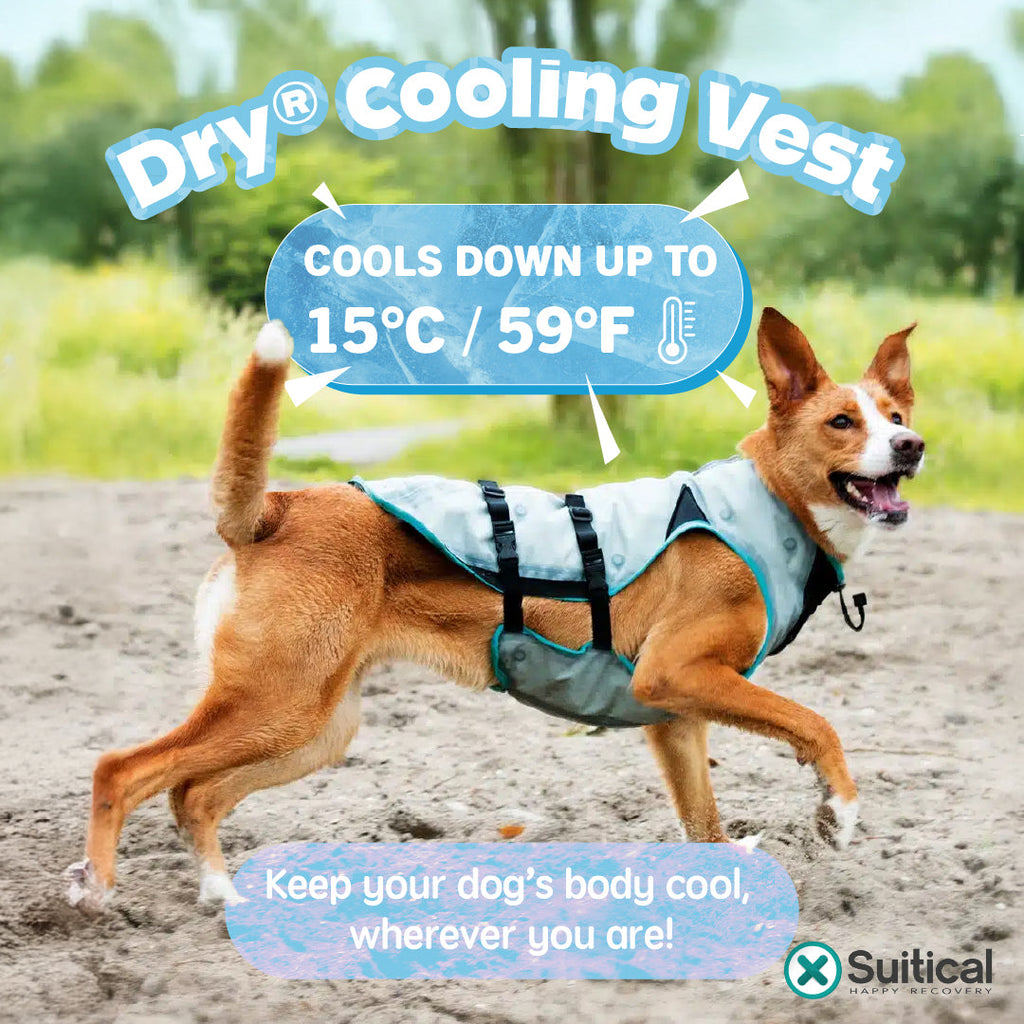 Suitical DRY Evaporative Cooling Vest for Dogs & Cats