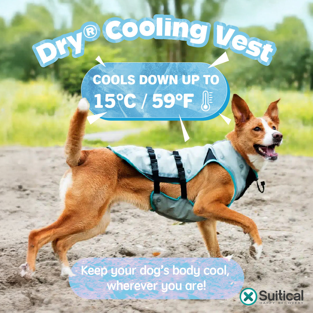 Suitical DRY Evaporative Cooling Vest for Dogs & Cats