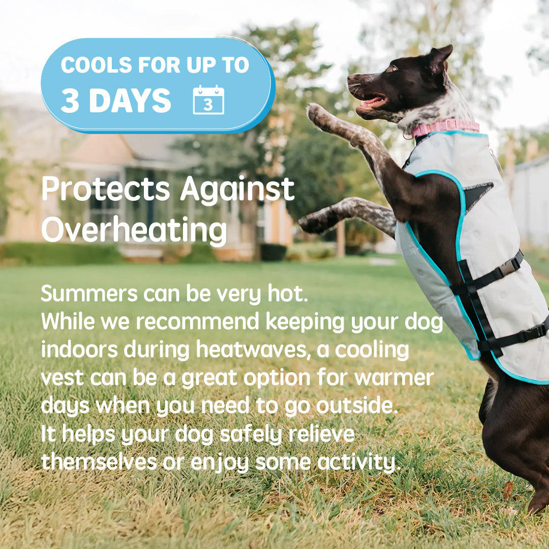 Suitical DRY Evaporative Cooling Vest for Dogs & Cats