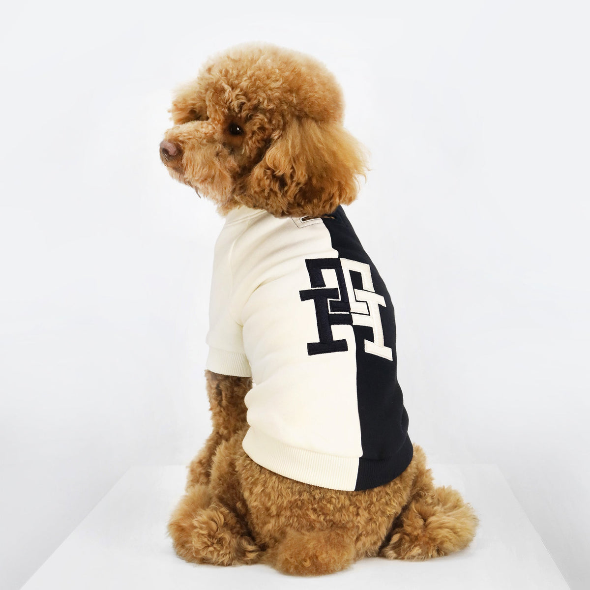Tommy Hilfiger Color-Block Dog Sweatshirt | Designer Dog Apparel