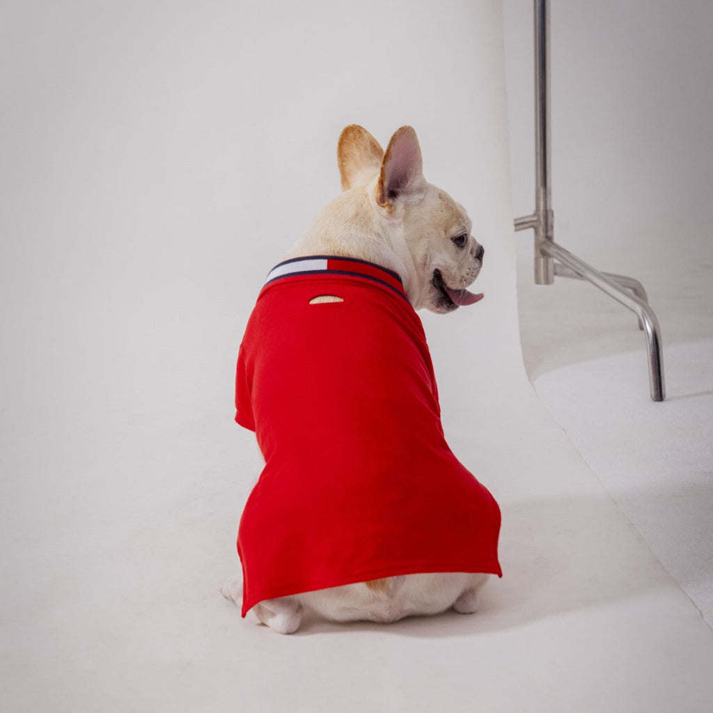 Tommy Hilfiger Flag Collar & Cuffs Dog Polo | Designer Dog Polo