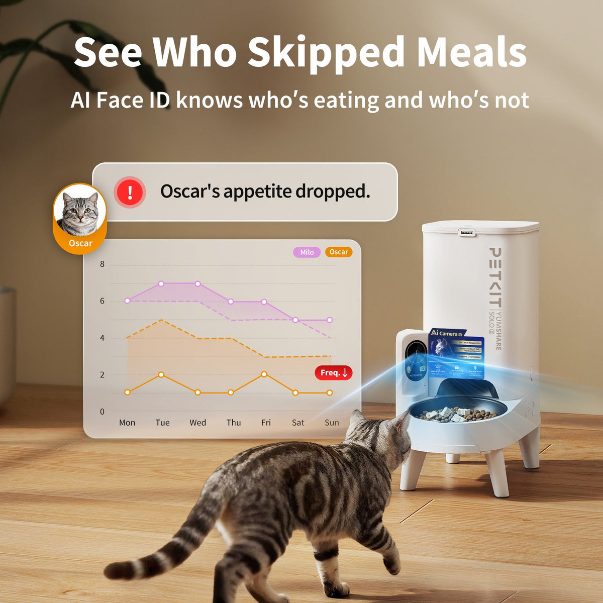 YumShare Solo 2 Ultimate Bundle
